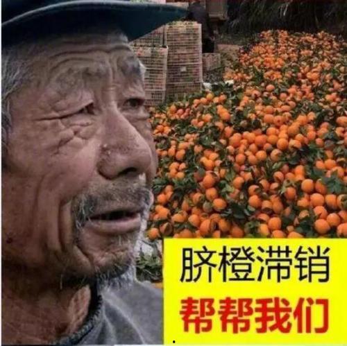 吃茭瓜视频三大爷,一场味蕾与传统的碰撞