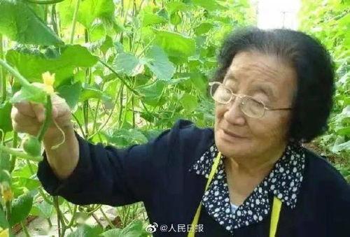 印度百岁奶奶吃蛇瓜视频,传承独特饮食习惯