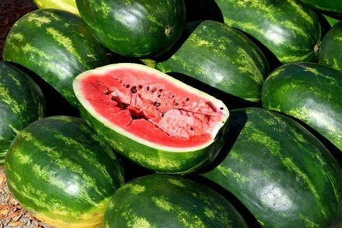 纳凉吃瓜视频大全,吃瓜视频大全，清凉一夏尽享欢乐时光