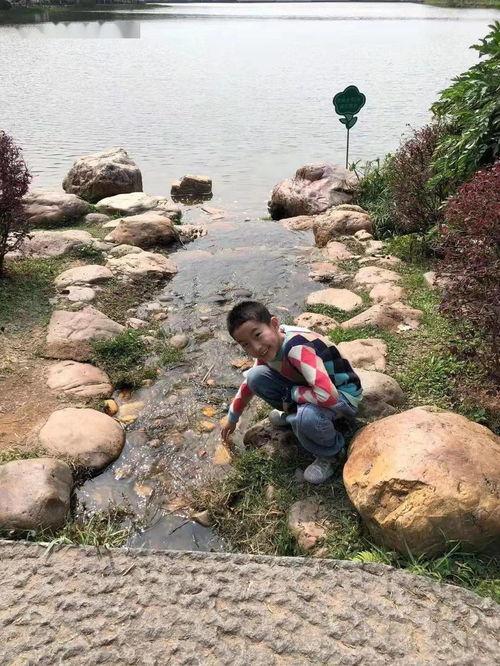 天气晴朗搬砖吃瓜视频,搬砖吃瓜，共享夏日悠闲时光