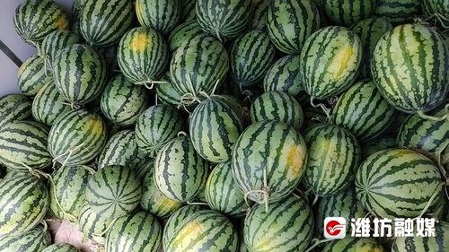 潍坊最新吃瓜视频,揭秘街头奇闻轶事