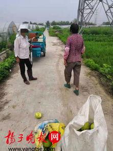 村口大妈吃瓜现场视频,笑料百出引围观
