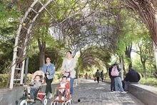 东洲公园吃瓜事件视频播放,视频曝光引发网友热议
