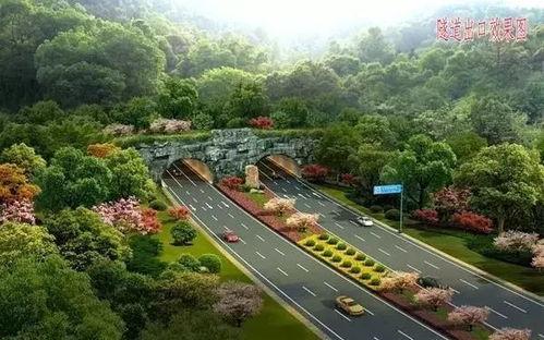 东洲公园吃瓜事件视频播放,视频曝光引发网友热议