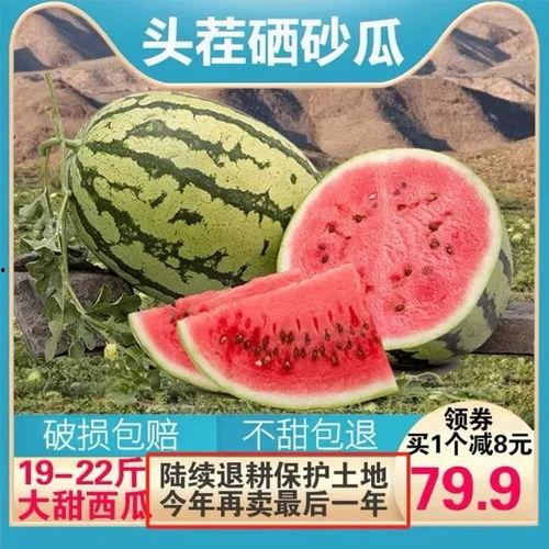 开心磕糖快乐吃瓜视频大全,开心磕糖快乐吃瓜视频大盘点