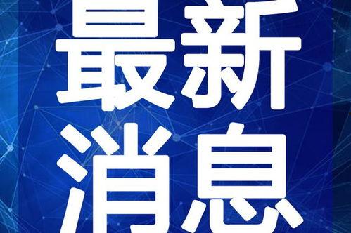 东营吃瓜新闻视频最新一期,揭秘本期热点事件幕后真相