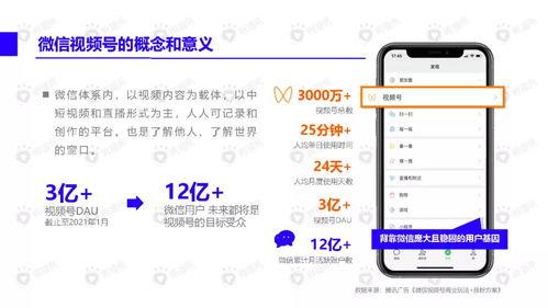 酒吧网红吃瓜视频下载安装,一网打尽热门瞬间