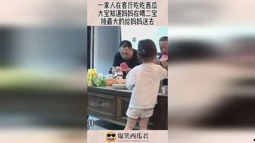 吃瓜二宝比赛视频,趣味横生的瓜界争霸盛典