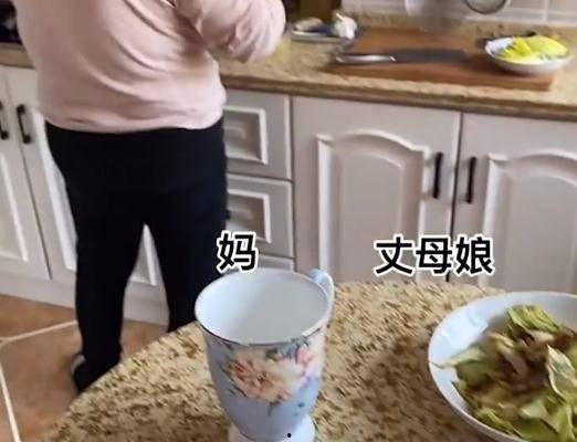 丈母娘吃瓜视频,揭秘家庭琐事背后的温馨故事