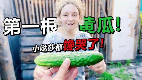 丈母娘吃瓜视频,揭秘家庭琐事背后的温馨故事
