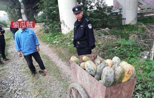 深圳树上吃瓜事件视频,网友热议的夏日街头一幕