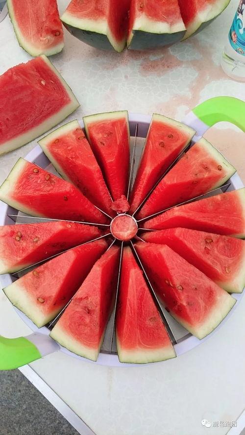 吃瓜比赛视频,吃瓜比赛视频精彩回顾