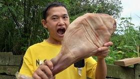 刘大瓜视频吃鸡,趣味横生游戏瞬间走红网络