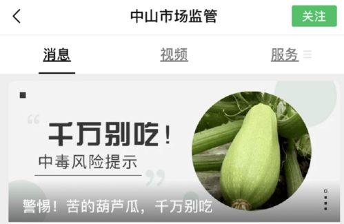 葫芦瓜能喂羊吃吗视频教程,营养搭配与喂养方法解析