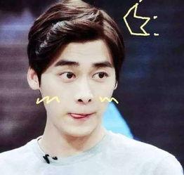 李易峰被抓吃瓜视频合集,吃瓜群众视角下的视频合集回顾