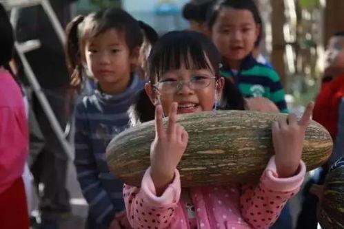 景贤小学吃瓜原视频,欢乐瞬间，童真无限