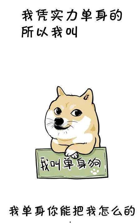 单身狗快乐吃瓜视频大全