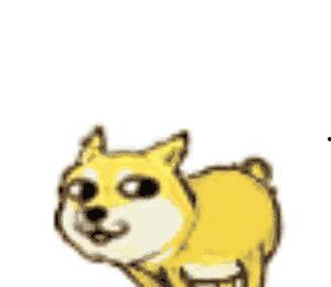 单身狗快乐吃瓜视频大全