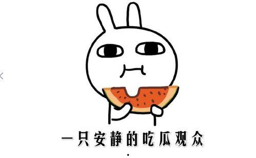 吃瓜视频段子怎么制作,轻松幽默，笑料百出