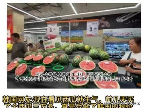 吃瓜视频外国,外国视角下的中国网络文化解读