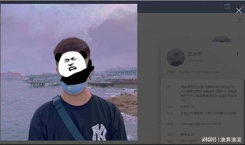 美团员工吃瓜视频,职场八卦背后的真实故事