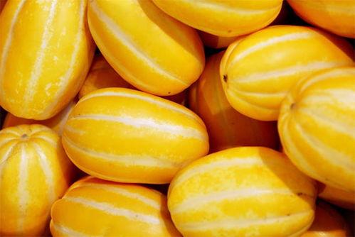 香瓜吃瓜视频完整版,揭秘瓜界奇闻，笑料横生的欢乐时光