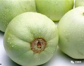 香瓜吃瓜视频完整版,揭秘瓜界奇闻，笑料横生的欢乐时光