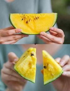 衢州吃瓜事件视频播放时间,视频播放时间揭秘背后的真相