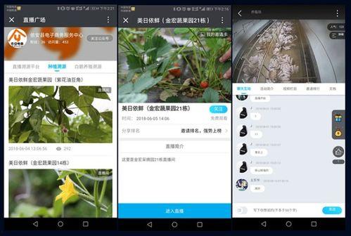 伊犁吃瓜新闻视频播放网站,热门视频网站带你领略新疆风情