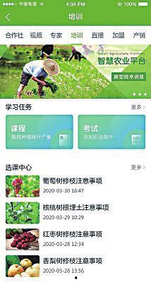 伊犁吃瓜新闻视频播放网站,热门视频网站带你领略新疆风情