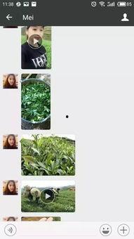 微信上售卖吃瓜视频,微信上那些引人入胜的幕后故事