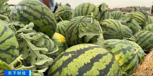 微信上售卖吃瓜视频,微信上那些引人入胜的幕后故事