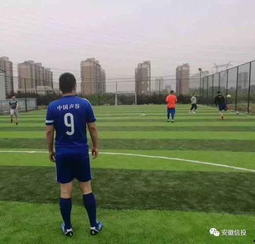 足球场吃瓜的视频,一场场精彩瞬间背后的趣味故事