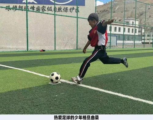 足球场吃瓜的视频,一场场精彩瞬间背后的趣味故事
