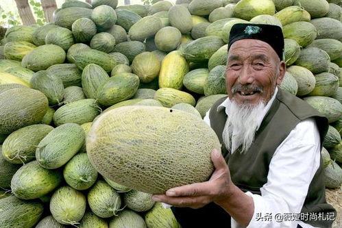 放人吃哈密瓜的视频叫什么,揭秘网红吃哈密瓜视频背后的魅力