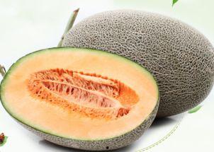 二胖吃哈密瓜的视频大全,视频大全回顾