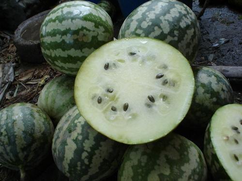 锤头瓜怎样吃最好吃视频,视频教你如何吃出最佳口感