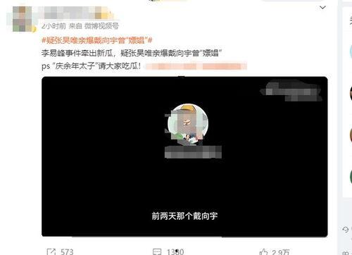 热搜的视频吃瓜,吃瓜群众如何成为舆论焦点