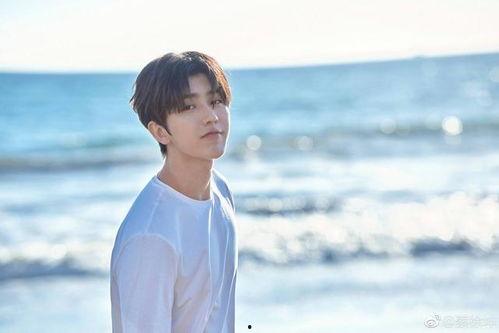 蔡徐坤吃瓜视频解说全集,揭秘娱乐圈幕后真相