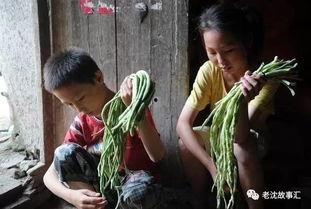 河北姐弟吃瓜视频大全最新,揭秘网络热传的趣味瞬间