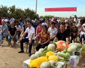 农民工吃瓜群众视频