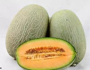 冰冻哈密瓜吃货视频下载,吃货视频下载解析