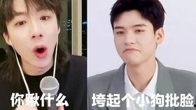 吃瓜视频里面搜索山歌是什么,吃瓜视频带你领略民间音乐之美