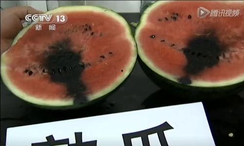 吃瓜吃撑的视频